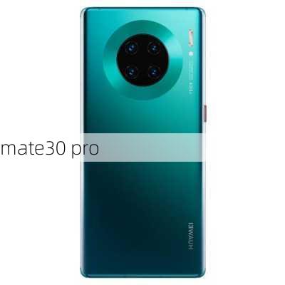 mate30 pro