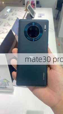 mate30 pro