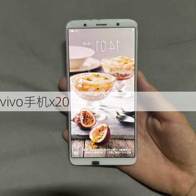 vivo手机x20