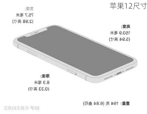 苹果12尺寸
