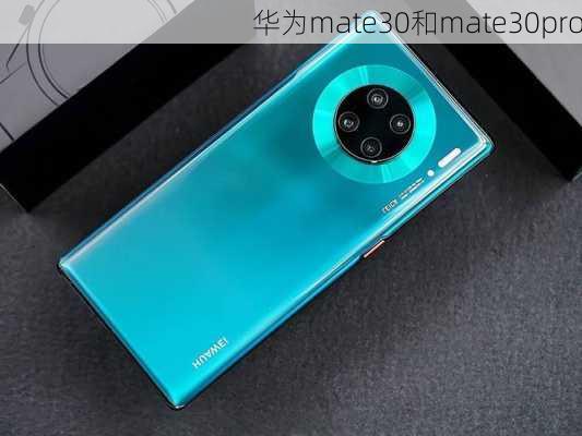 华为mate30和mate30pro