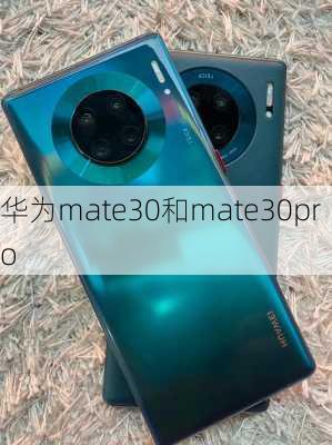 华为mate30和mate30pro