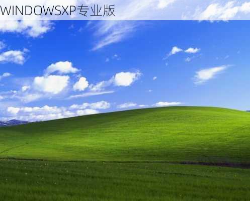 WINDOWSXP专业版