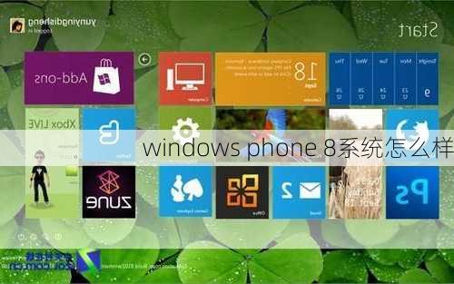 windows phone 8系统怎么样