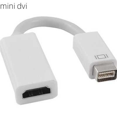 mini dvi