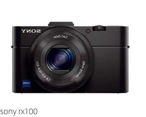 sony rx100