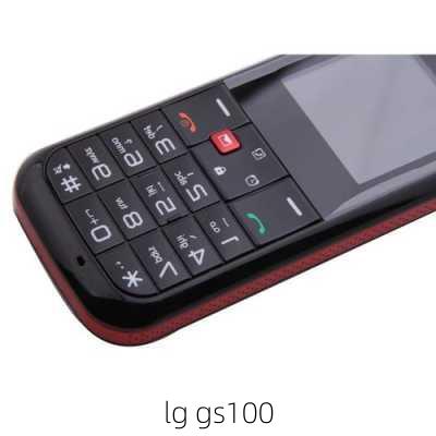 lg gs100