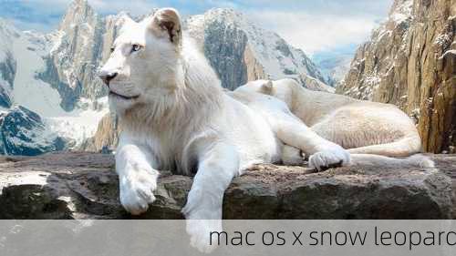 mac os x snow leopard