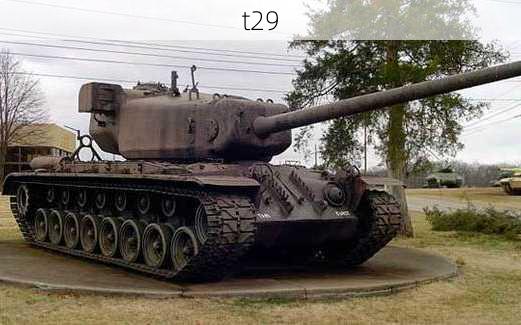 t29