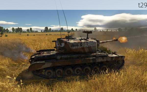 t29