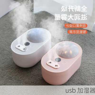 usb 加湿器