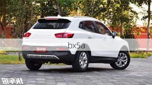 bx5a