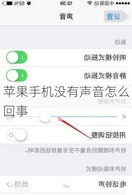 苹果手机没有声音怎么回事