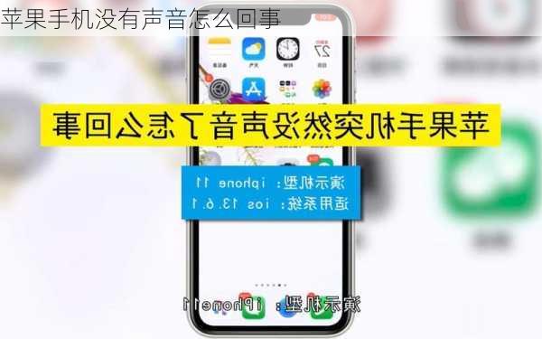 苹果手机没有声音怎么回事